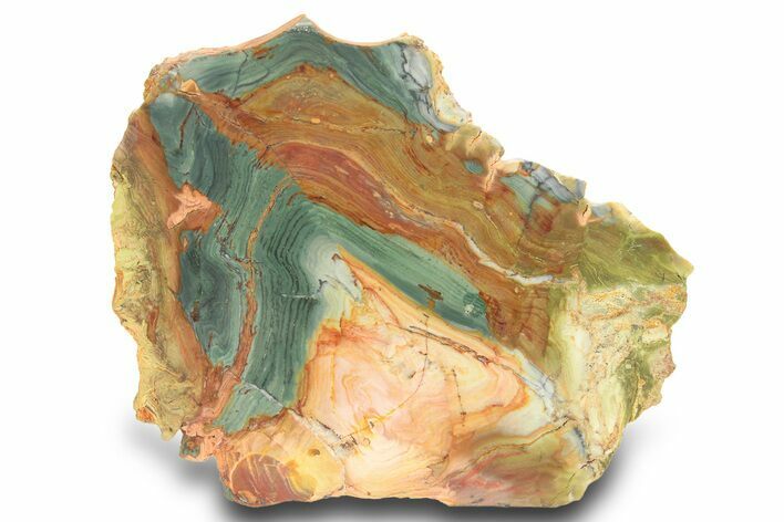 Gary Green Jasper (Larsonite) Bog Wood Slab - Oregon #299310